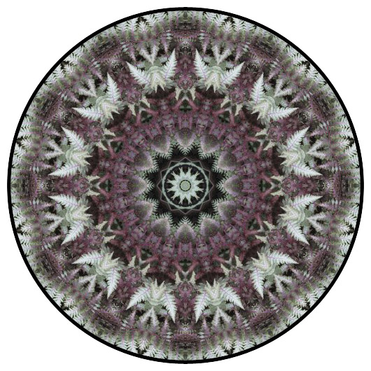 botanical mandala, mandala art