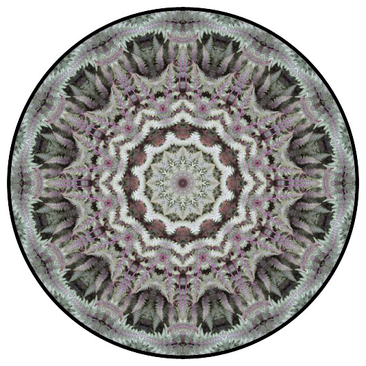 botanical mandala, mandala art