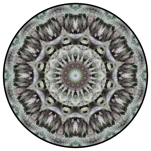 botanical mandala, mandala art