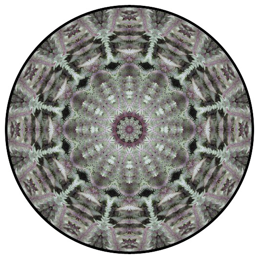 botanical mandala, mandala art