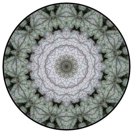 botanical mandala, mandala art