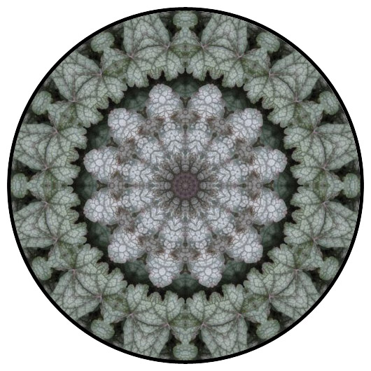 botanical mandala, mandala art