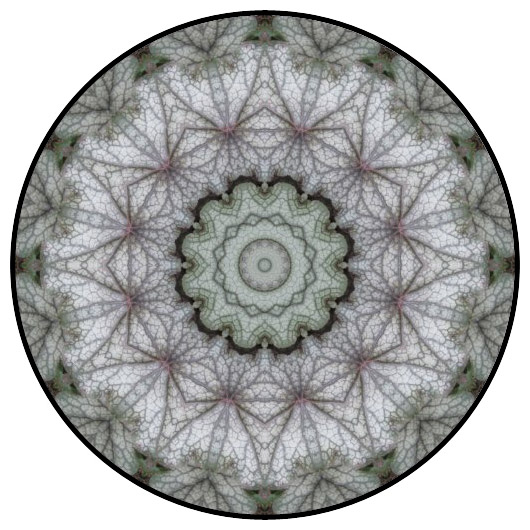 botanical mandala, mandala art