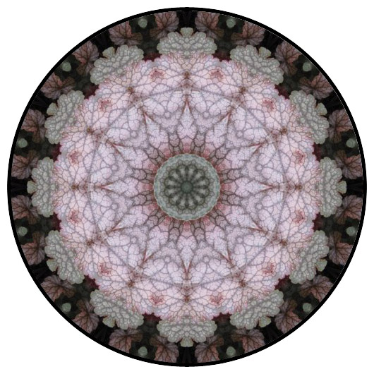 botanical mandala, mandala art