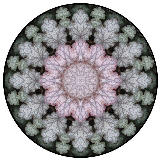 botanical mandala, mandala art