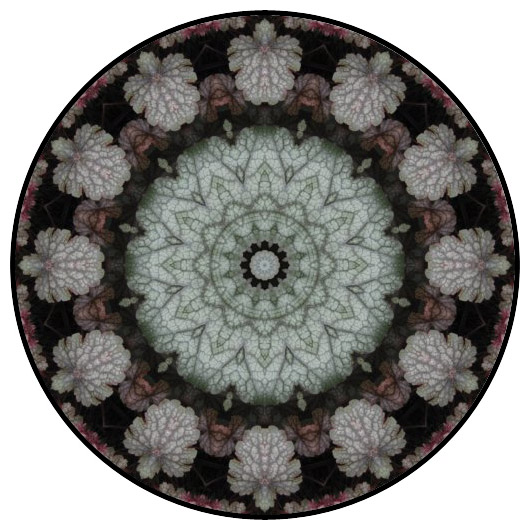 botanical mandala, mandala art