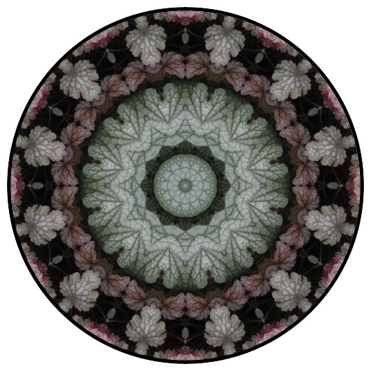 botanical mandala, mandala art