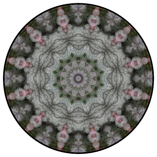 botanical mandala, mandala art