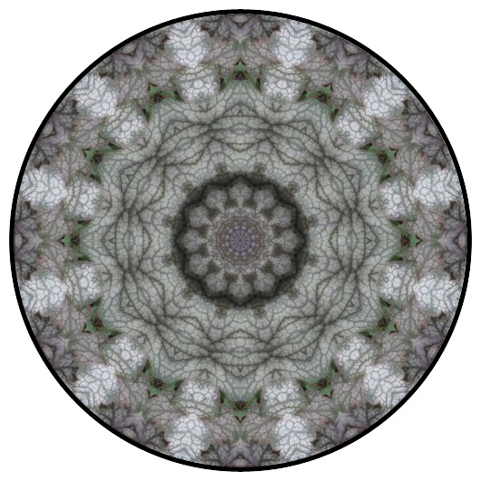 botanical mandala, mandala art