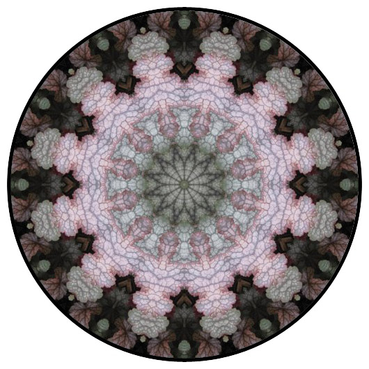 botanical mandala, mandala art