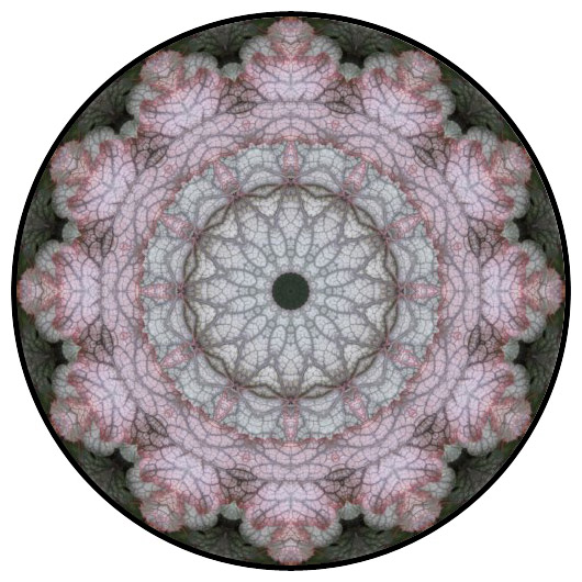 botanical mandala, mandala art