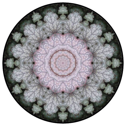 botanical mandala, mandala art