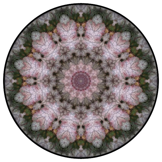 botanical mandala, mandala art