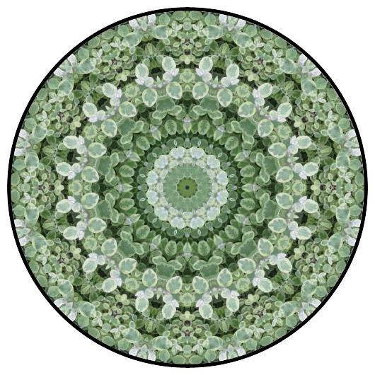 botanical mandala, mandala art