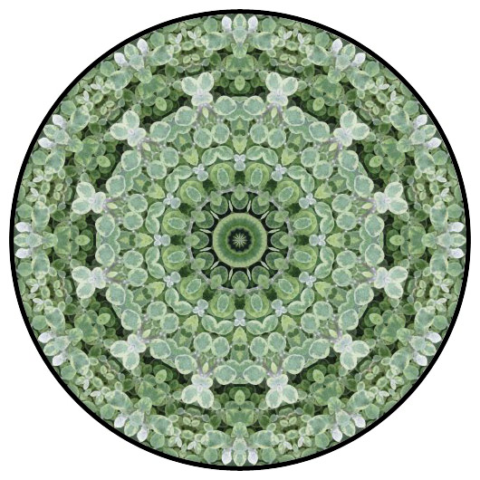 botanical mandala, mandala art