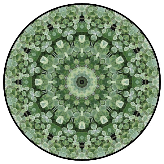 botanical mandala, mandala art