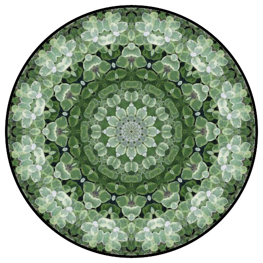 botanical mandala, mandala art