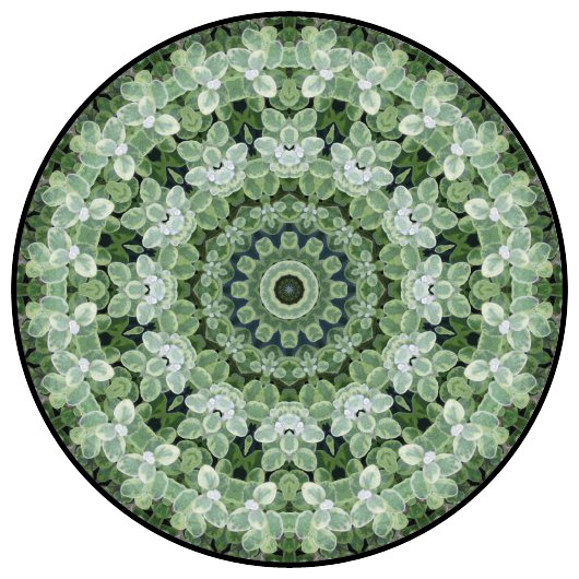 botanical mandala, mandala art