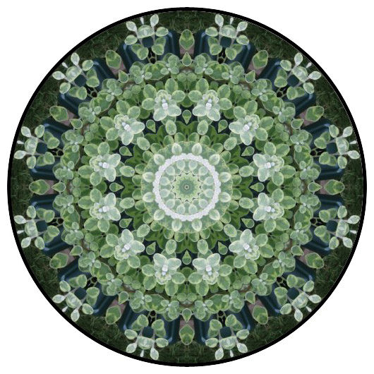 botanical mandala, mandala art