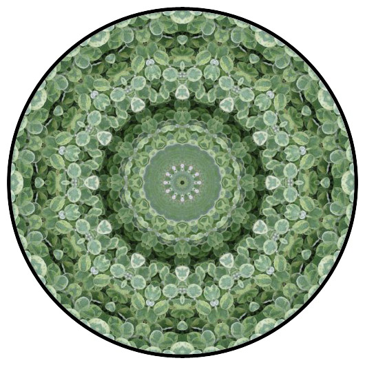 botanical mandala, mandala art