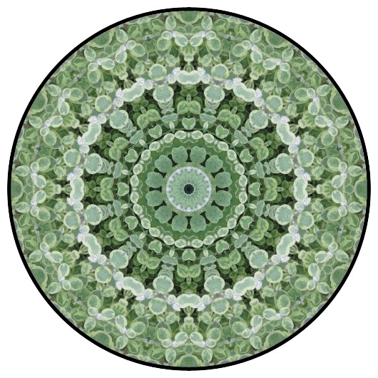 botanical mandala, mandala art
