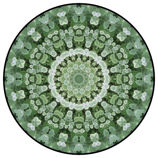 botanical mandala, mandala art