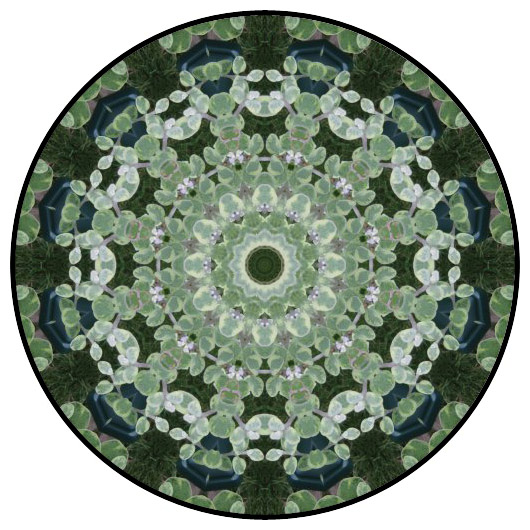 botanical mandala, mandala art