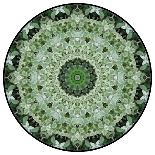 botanical mandala, mandala art