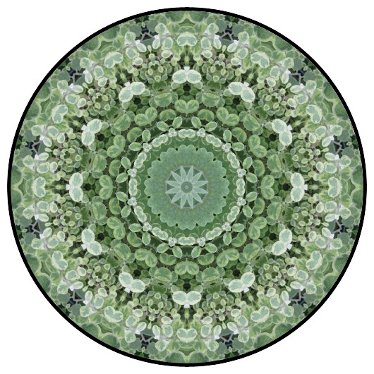 botanical mandala, mandala art