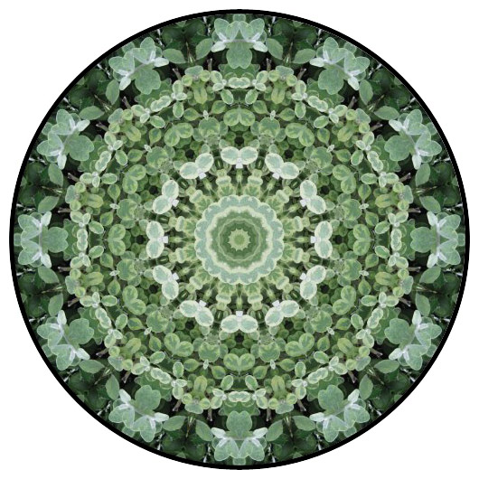 botanical mandala, mandala art