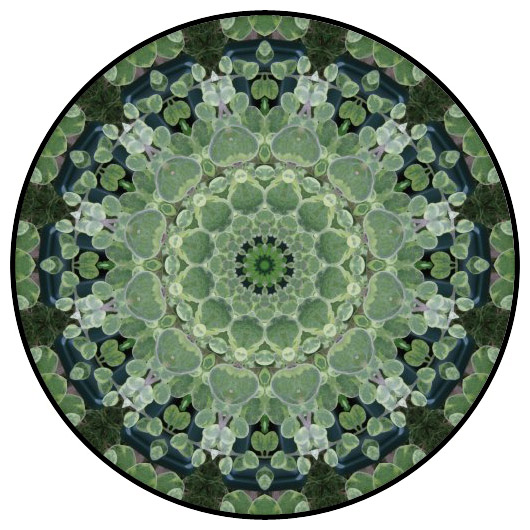 botanical mandala, mandala art