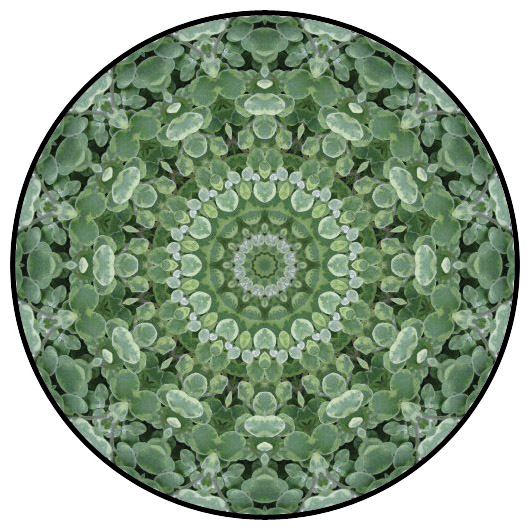 botanical mandala, mandala art