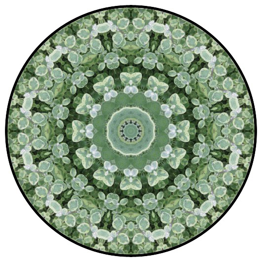 botanical mandala, mandala art
