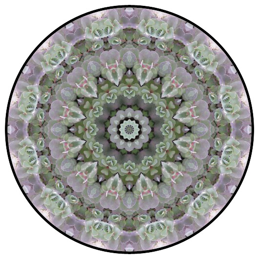 botanical mandala, mandala art