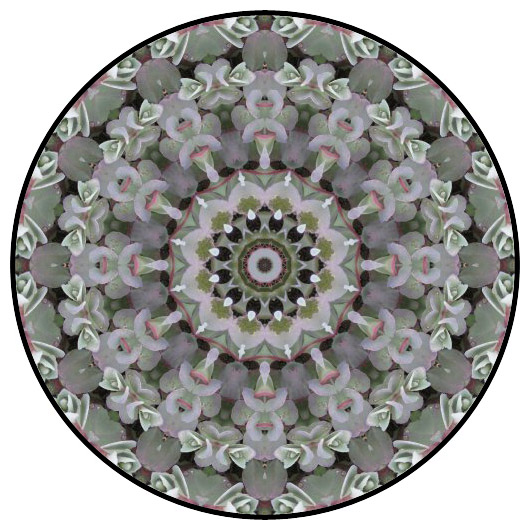 botanical mandala, mandala art