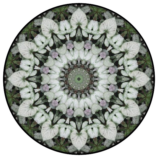 botanical mandala, mandala art