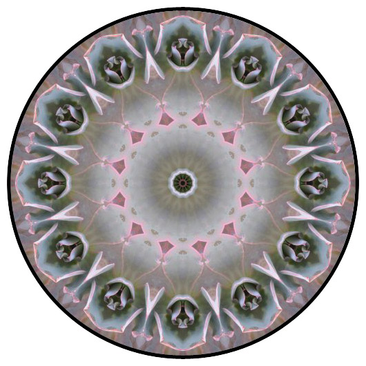 botanical mandala, mandala art