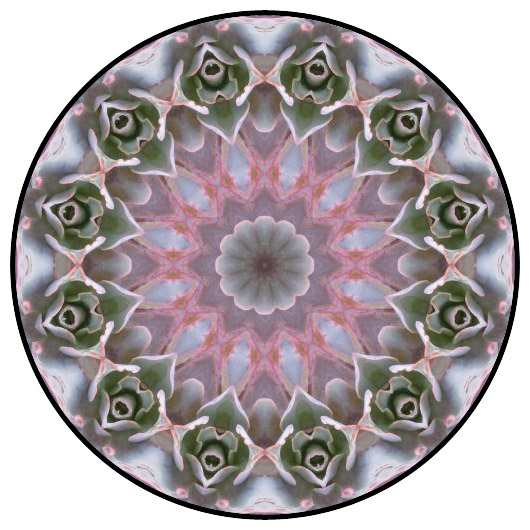 botanical mandala, mandala art