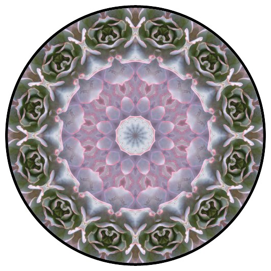 botanical mandala, mandala art