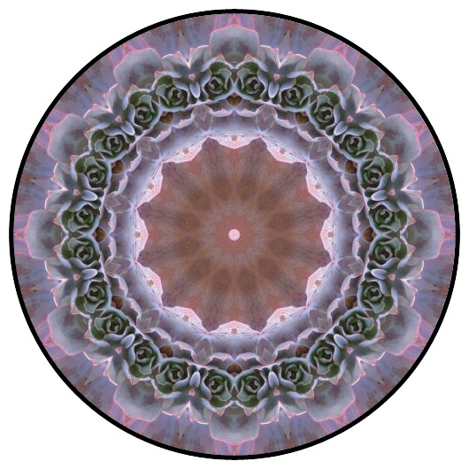 botanical mandala, mandala art