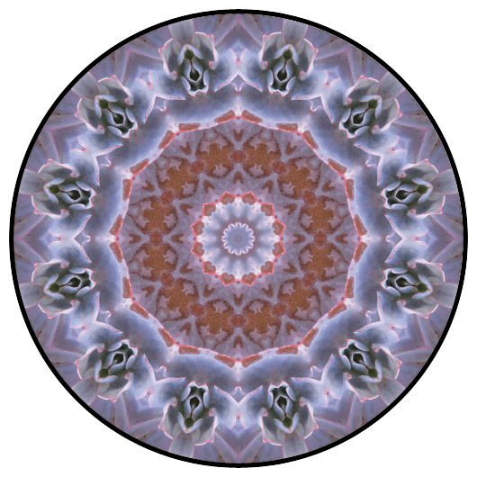 botanical mandala, mandala art