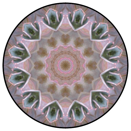 botanical mandala, mandala art
