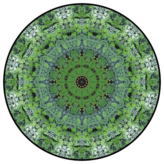 botanical mandala, mandala art