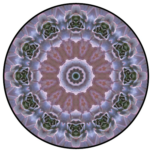 botanical mandala, mandala art