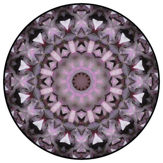 botanical mandala, mandala art