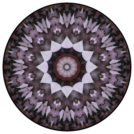 botanical mandala, mandala art