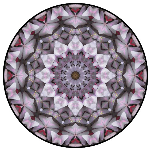 botanical mandala, mandala art
