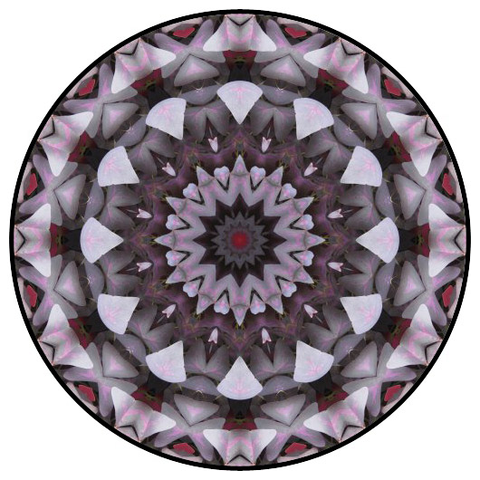 botanical mandala, mandala art