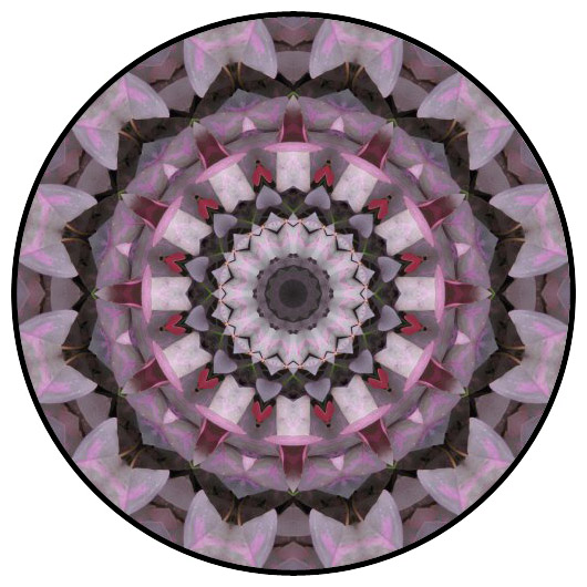 botanical mandala, mandala art