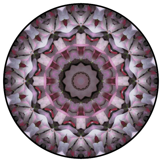 botanical mandala, mandala art